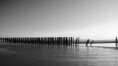 /album/wissant-sans-web-sans-net-juste-la-vie-a-wissant/longue-vie-red-jpg/